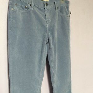 NWOT women's Corduroy Light blue jeans size 24